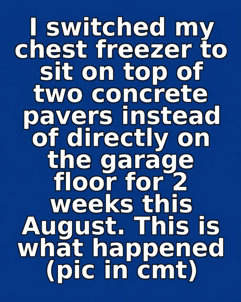 Chest freezer raised on concrete pavers on a garage floor