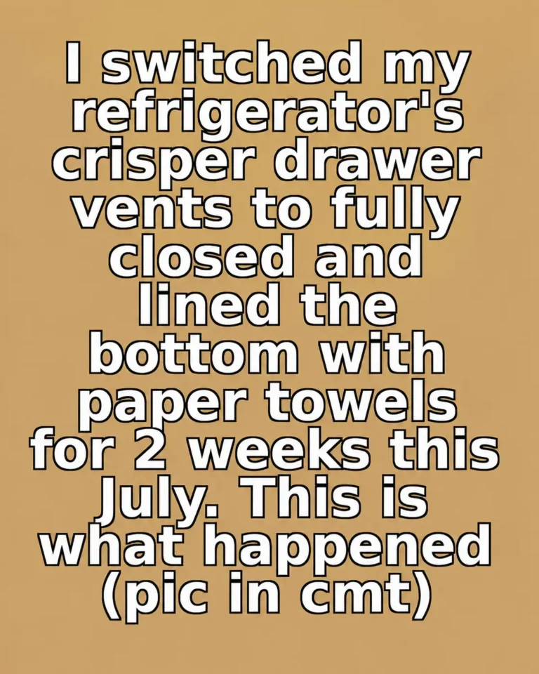 Refrigerator crisper drawer lined with paper towels and filled with fresh vegetables