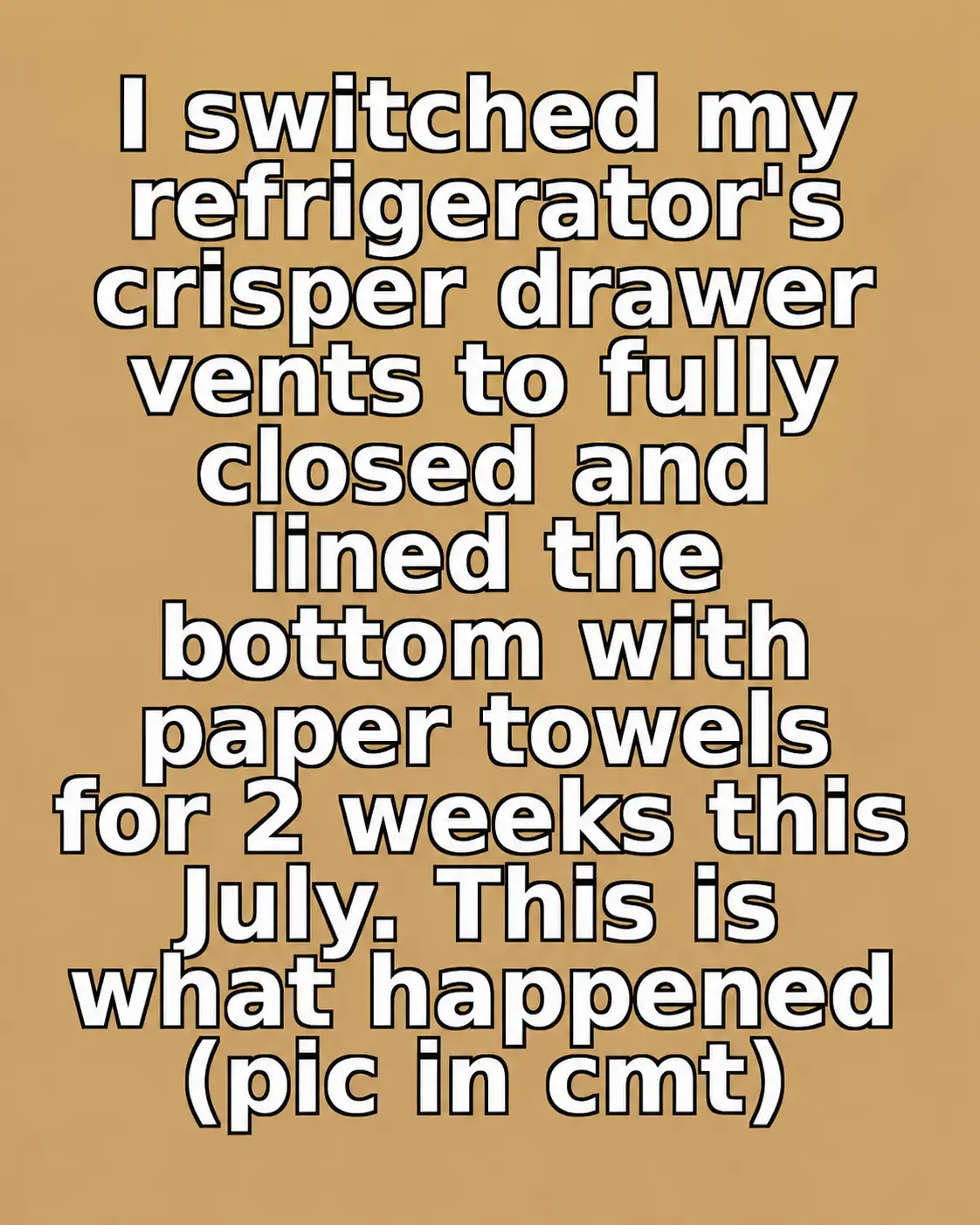 Refrigerator crisper drawer lined with paper towels and filled with fresh vegetables