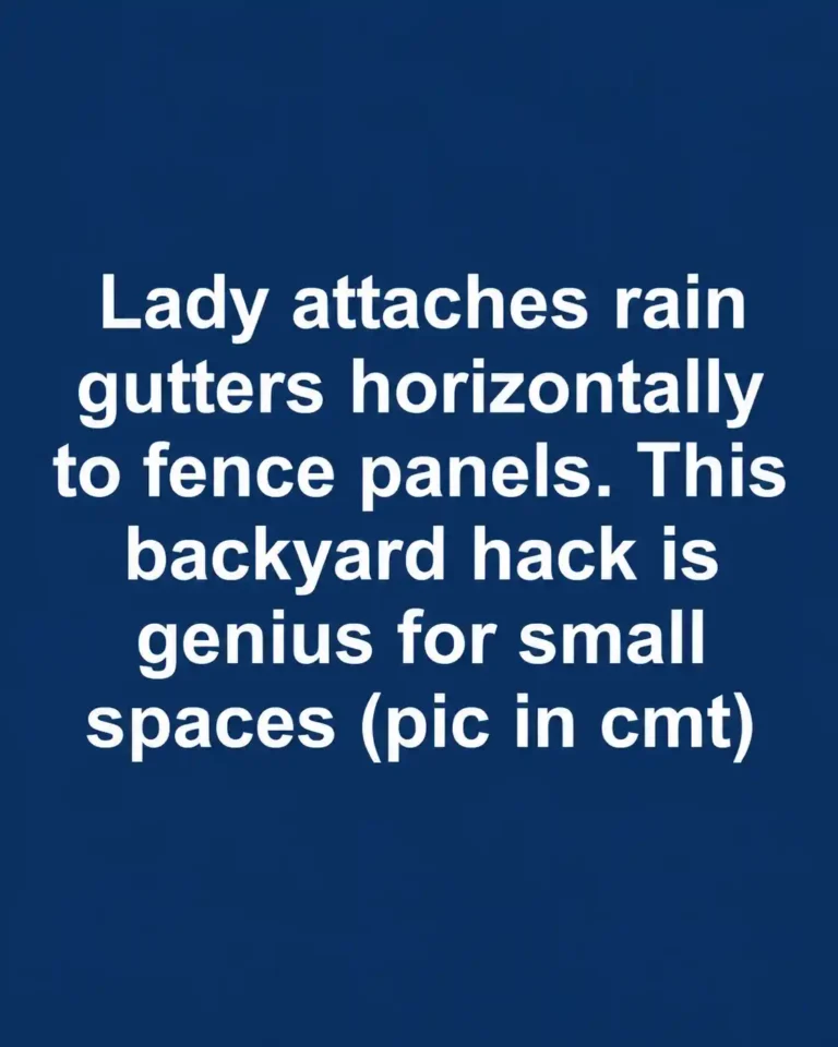 Lady attaching horizontal rain gutters to wooden fence panels to create a space-saving herb planter wall in a small backyard