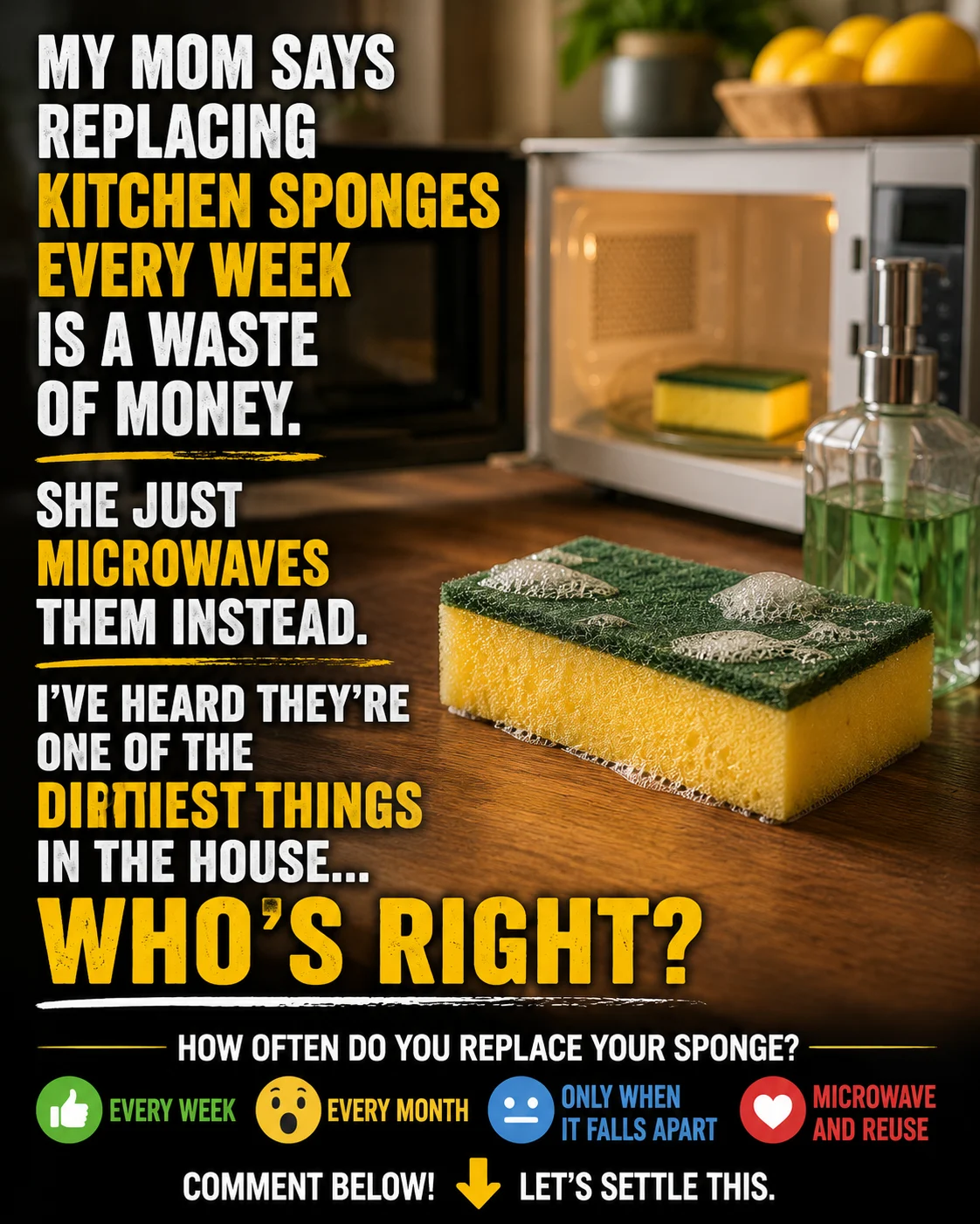 Kitchen sponge beside a sink with a microwave in the background