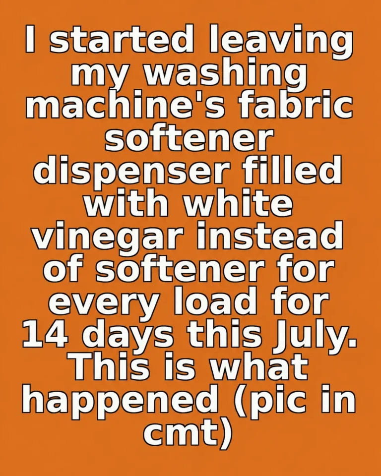 Person pouring distilled white vinegar into a washing machine fabric softener dispenser